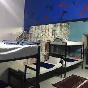 Brisbane & Kochi